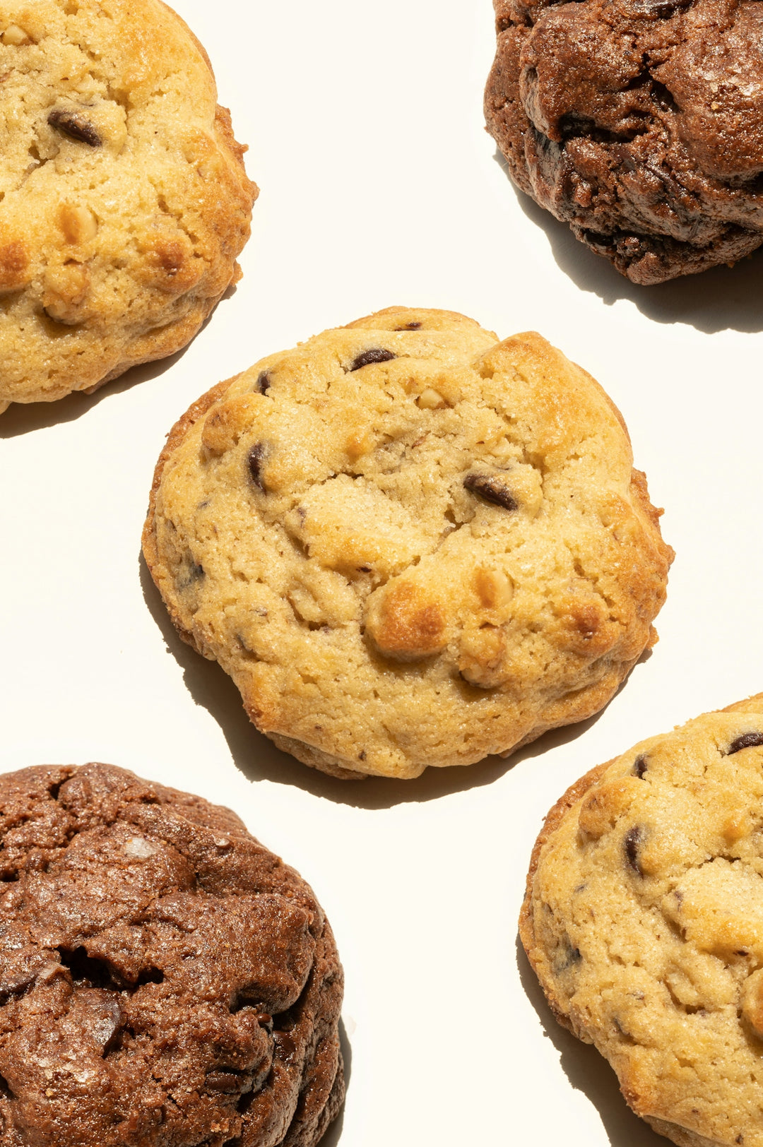 Discover the Comfort Revolution of Cookie Shaped Cushions for Your Home