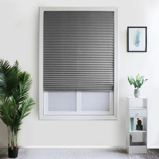 Cheap Adhesive Window Pleated Zebra Blinds