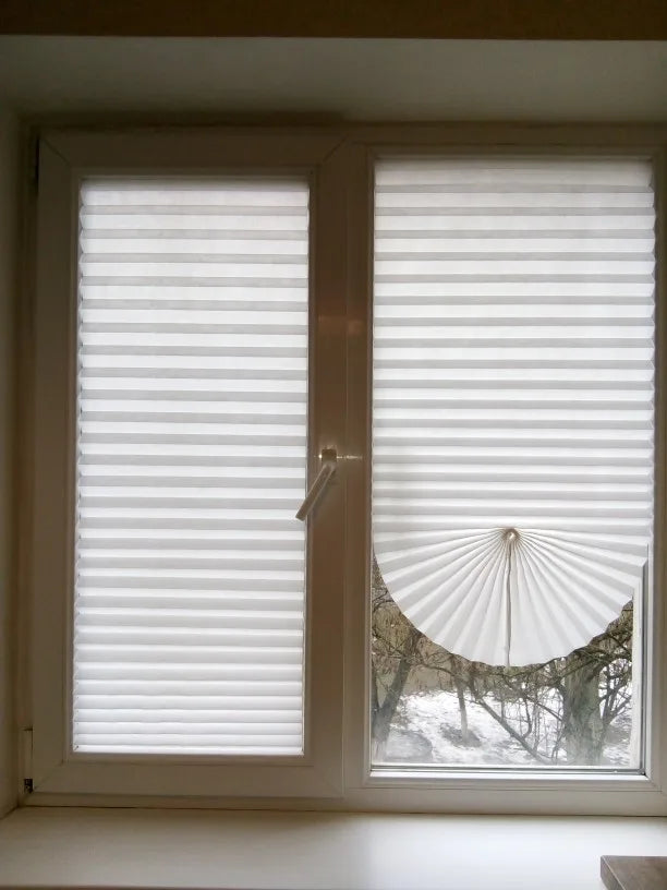 Cheap Adhesive Window Pleated Zebra Blinds