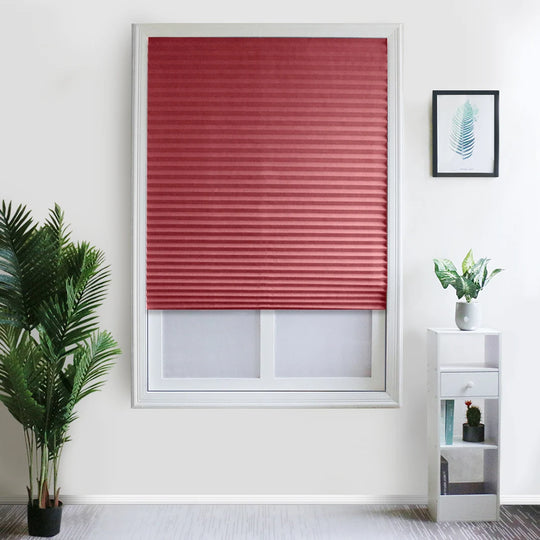 Cheap Adhesive Window Pleated Zebra Blinds