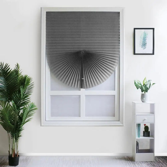 Cheap Adhesive Window Pleated Zebra Blinds