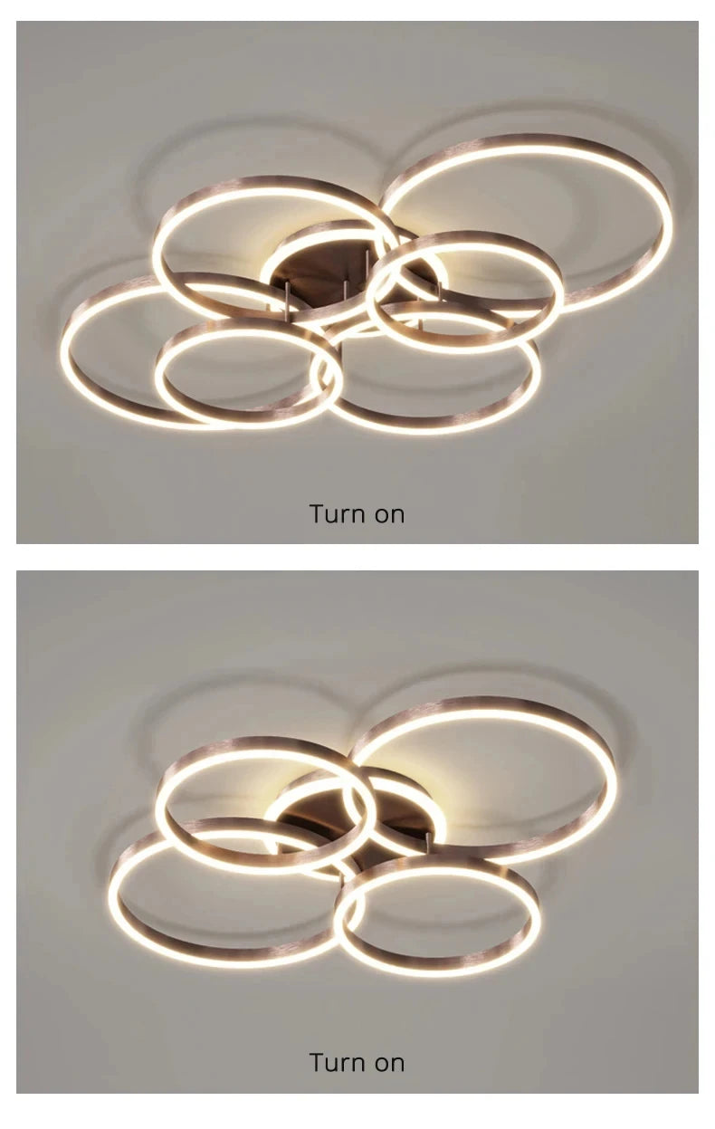 LED Indoor Ceiling Chandelier For Living Room