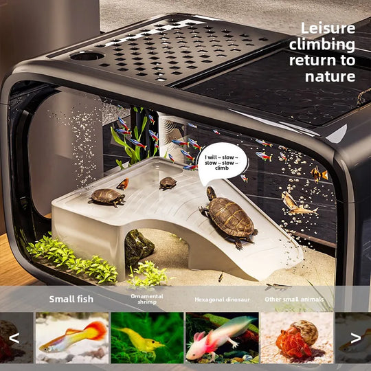 Home Living Room Ornamental Fish Tank Ecological Landscape