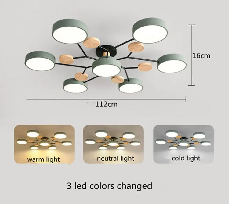 Modern Living Room Ceiling Chandelier Light Three Colors