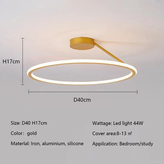 Modern Simple Circle Led Chandelier for Home
