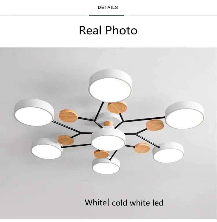 Modern Living Room Ceiling Chandelier Light Three Colors